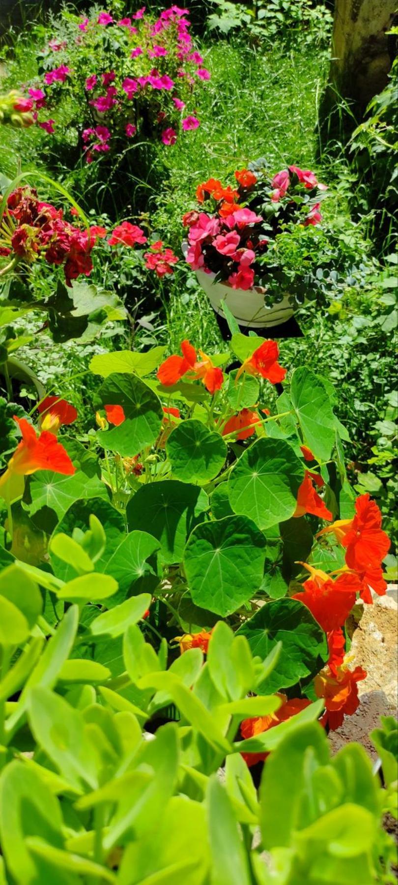 Vila Dzan SJJ Esterno foto