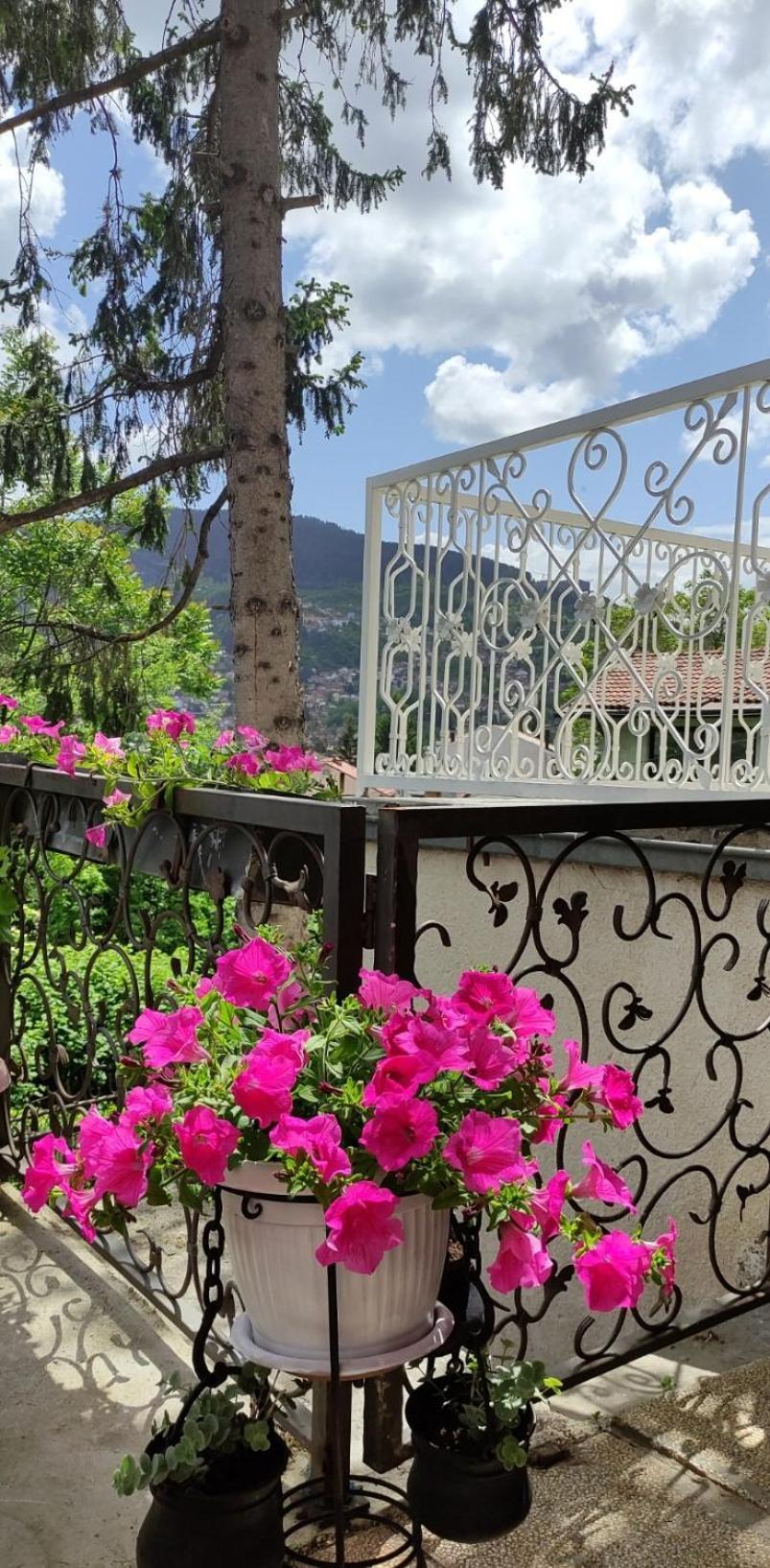 Vila Dzan SJJ Esterno foto